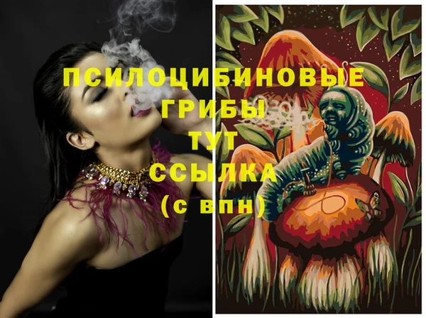 ALPHA PVP Дмитриев