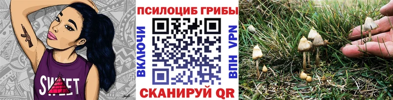 Галлюциногенные грибы прущие грибы hydra ссылки Курганинск